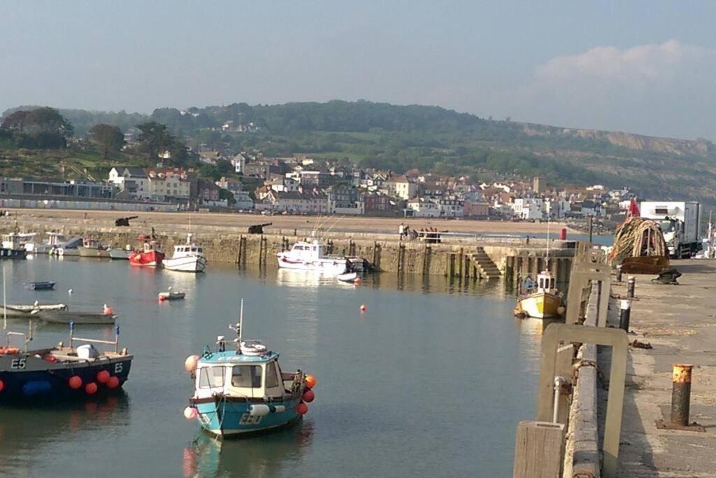 Private Apartment, Parking, Sea And Country Views Lyme Regis Exterior foto